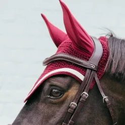 Bonnets Pour Chevaux*Kentucky Horsewear - Bonnet pour chevaux Wellington Plaited Cord Bordeaux