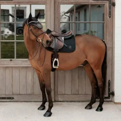 Bonnets Pour Chevaux*Kentucky Horsewear - Bonnet pour chevaux Wellington Sparkling Noir