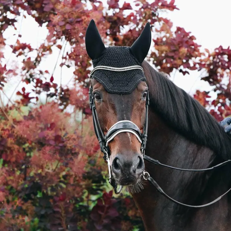 New - Bonnet Wellington Sparkling Bonnets Pour Chevaux|Cso