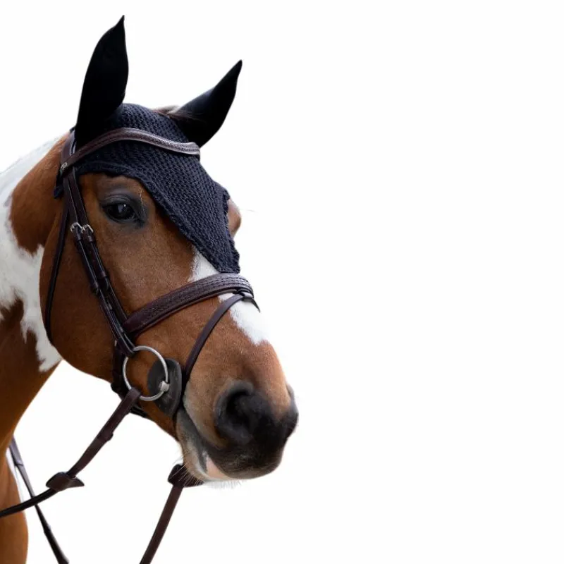 New - Bonnet anti-bruit long Bonnets Pour Chevaux