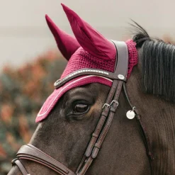 Cso|Bonnets Pour Chevaux*Kentucky Horsewear - Bonnet Wellington velvet fuchsia Rose