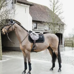 Bonnets Pour Chevaux|Cso*Kentucky Horsewear - Bonnet Wellington basic velvet Noir