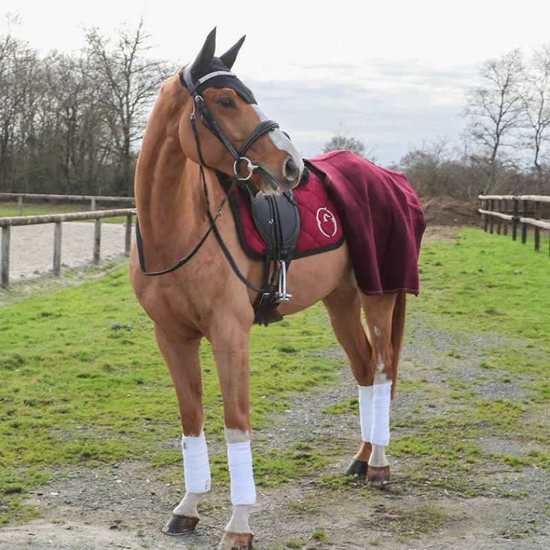 Cso|Collection "Minis" Kentucky*Kentucky Horsewear - Bonnet Wellington Noir