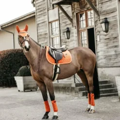 Bonnets Pour Chevaux*Kentucky Horsewear - Bonnet pour chevaux anti-bruits Wellington Velvet Orange