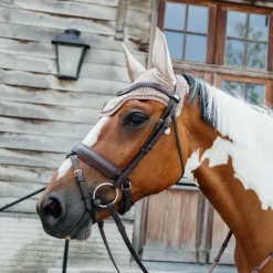 New - Bonnet Wellington Velvet pearls Bonnets Pour Chevaux|Cso