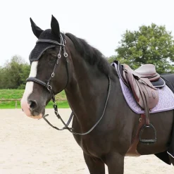 Bonnets Pour Chevaux|Cso*Kentucky Horsewear - Bonnet anti-bruits pour cheval Wellington Glitter Stone noir