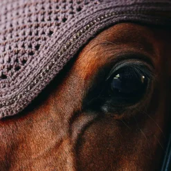 Sale - Bonnet Wellington Sparkling Anti-bruits Bonnets Pour Chevaux|Cso