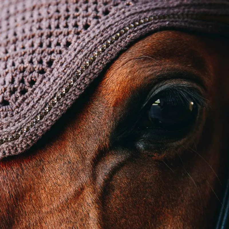 Sale - Bonnet Wellington Sparkling Anti-bruits Bonnets Pour Chevaux|Cso