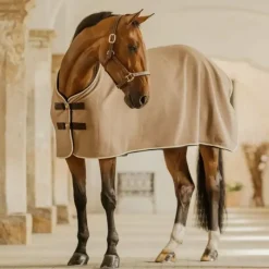 Outlet - Chemise séchante Show Vegan Wool Collection 