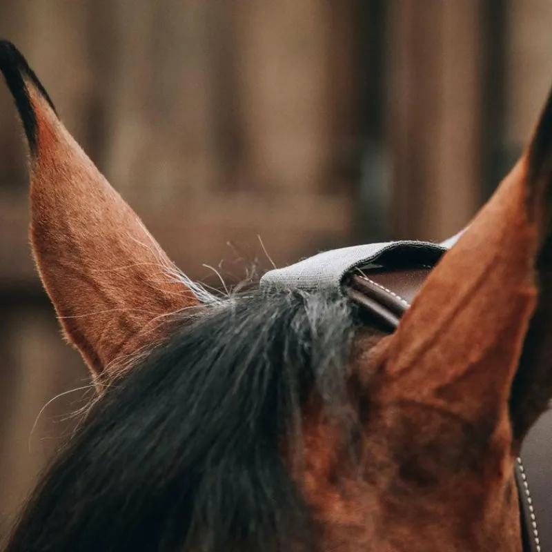 Couvre-Reins*Kentucky Horsewear - Chemise de pluie waterproof 0g Gris