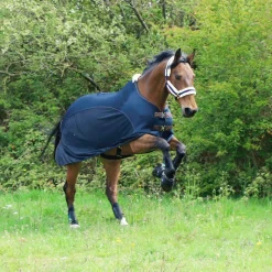 Couvertures Et Chemises*Kentucky Horsewear - Chemise mesh combo Marine