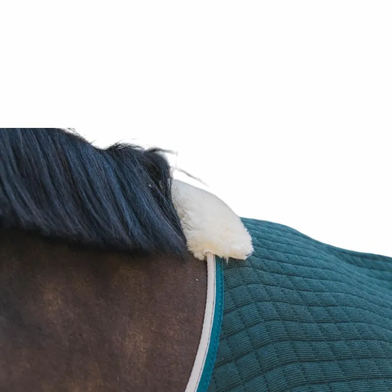 Best - Chemise séchante Protherm foncé Collection "Minis" Kentucky|Couvertures Poneys