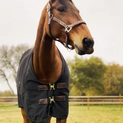 Couvertures Et Chemises*Kentucky Horsewear - Chemise coton 0g Noir