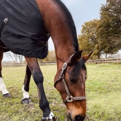 Couvertures Et Chemises*Kentucky Horsewear - Chemise coton 0g Noir
