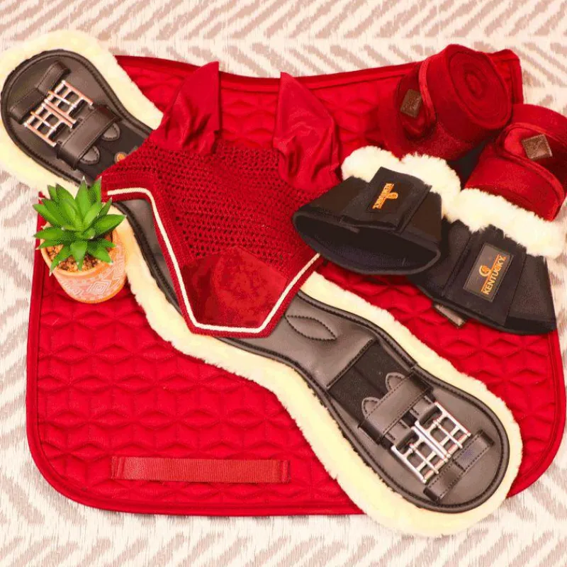 New - Cloches chevaux mouton Solimbra Horseball|Concours Complet D'Equitation