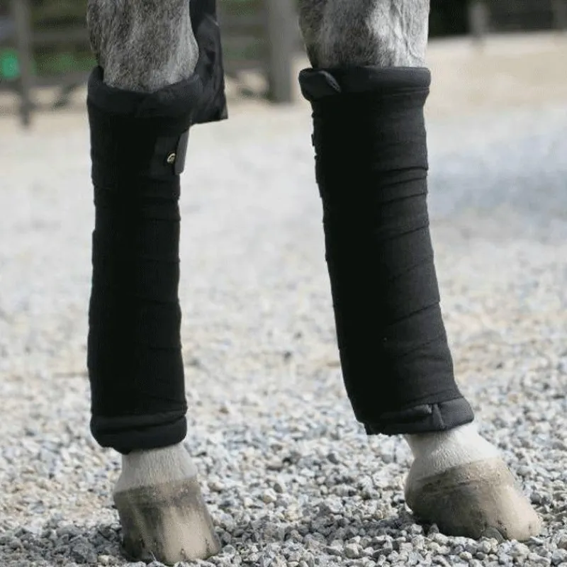 Online - Cotons américains (x4) Cotons Américain