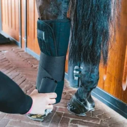 Cotons Américain*Kentucky Horsewear - Coton Stable Bandage Wraps (x4) Noir