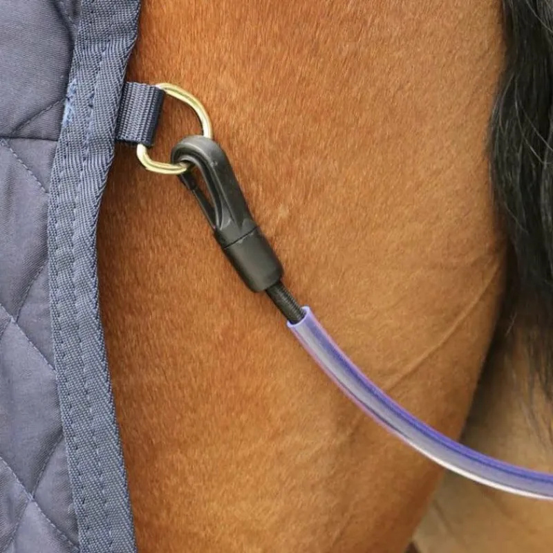 Sale - Courroie de queue Collection "Minis" Kentucky|Couvertures Poneys