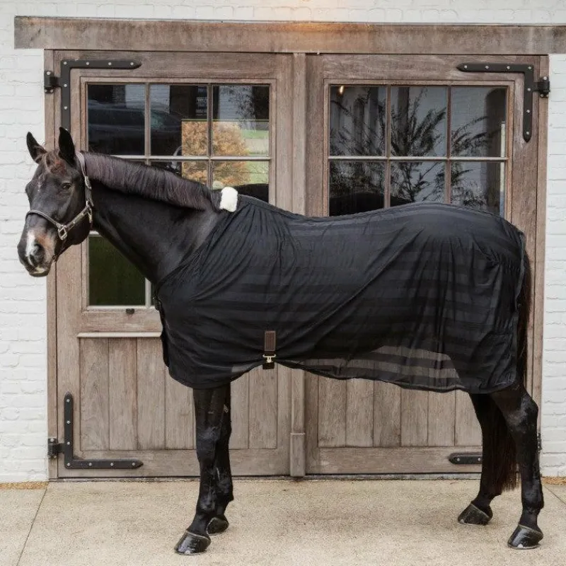 Outlet - Couverture anti-mouches légère rayée Collection "Minis" Kentucky|Couvertures Poneys