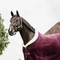 Couvertures Et Chemises*Kentucky Horsewear - Couverture séchante Show heavy Bordeaux
