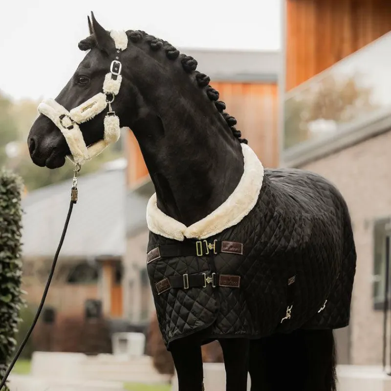 Élevage|Collection "Minis" Kentucky*Kentucky Horsewear - Couverture de présentation 160g Noir