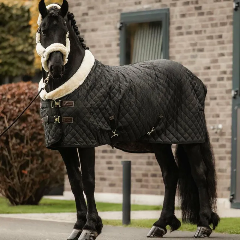 Élevage|Collection "Minis" Kentucky*Kentucky Horsewear - Couverture de présentation 160g Noir