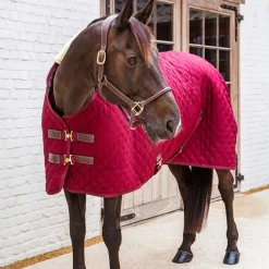 Best - Couverture de box 400g Couvertures Et Chemises