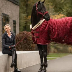 Online - Couverture de présentation velvet 160g Couvertures Et Chemises