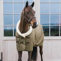 New - Couure de présentation Show Rug kaki 160g Couvertures Et Chemises