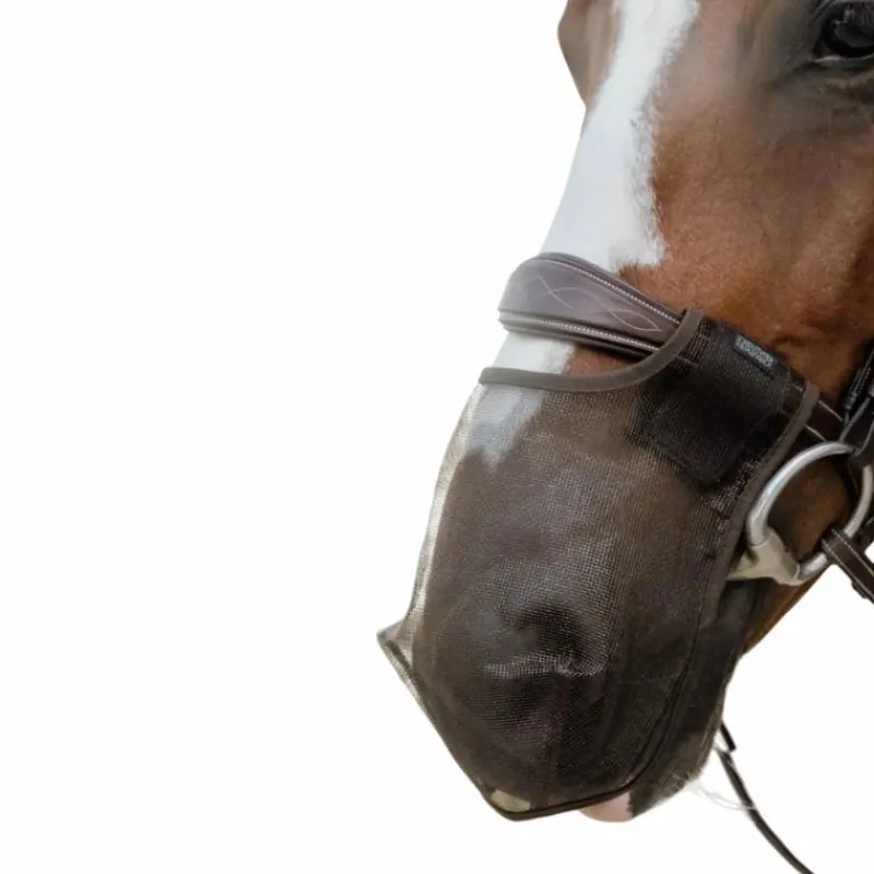 Discount - Filet de nez anti-mouches Masques Anti-Mouches|Masques Anti-Mouches