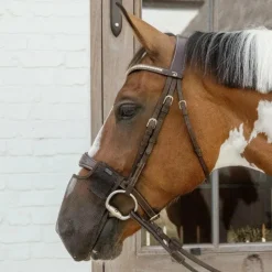 Discount - Filet de nez anti-mouches Masques Anti-Mouches|Masques Anti-Mouches