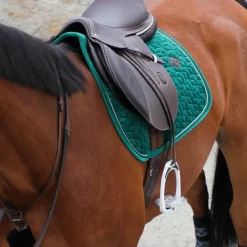 Horseball|Concours Complet D'Equitation*Kentucky Horsewear - Fourreau de collier de chasse Noir