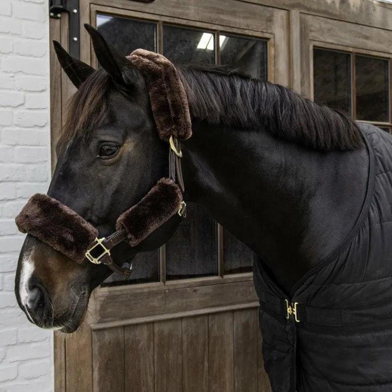 Concours Complet D'Equitation|Accessoires De Licols*Kentucky Horsewear - Fourreaux de licol mouton 4 pcs Marron