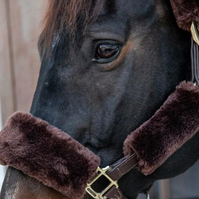 Concours Complet D'Equitation|Accessoires De Licols*Kentucky Horsewear - Fourreaux de licol mouton 4 pcs Marron