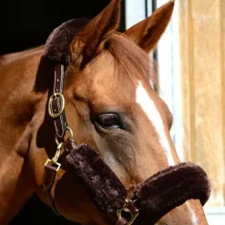 Concours Complet D'Equitation|Accessoires De Licols*Kentucky Horsewear - Fourreaux de licol mouton 4 pcs Marron