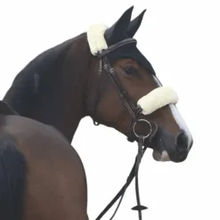 Hot - Fourreau de muserolle blanc Horseball|Concours Complet D'Equitation