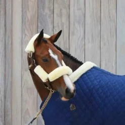 Best - Fourreaux de licol mouton blanc 4 pcs Concours Complet D'Equitation|Accessoires De Licols