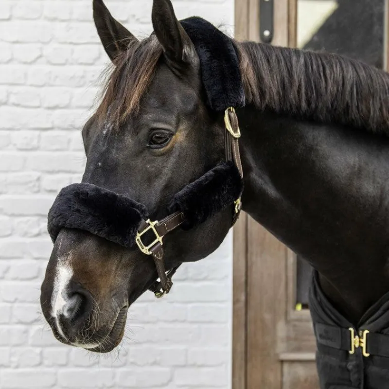 Discount - Fourreaux de licol mouton 4 pcs Concours Complet D'Equitation|Accessoires De Licols