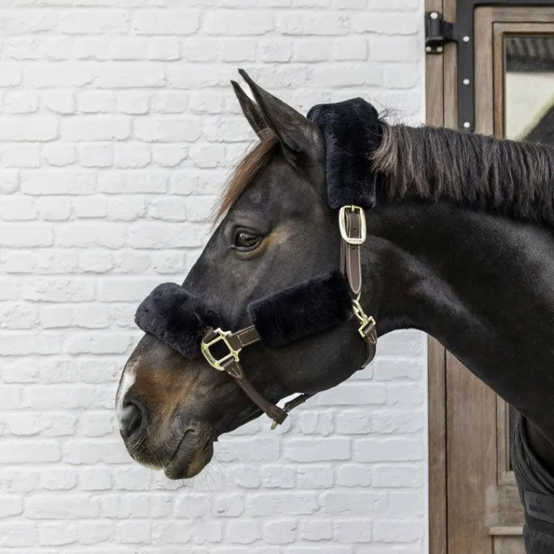 Discount - Fourreaux de licol mouton 4 pcs Concours Complet D'Equitation|Accessoires De Licols