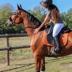 Horseball|Concours Complet D'Equitation*Kentucky Horsewear - Fourreau de muserolle Marron