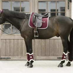 Guêtres Fermées*Kentucky Horsewear - Guêtres fermées cuir velvet contrast x2 Bordeaux