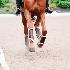 Guêtres Fermées*Kentucky Horsewear - Guêtres cheval Turn Out cuir postérieurs x2 Marron