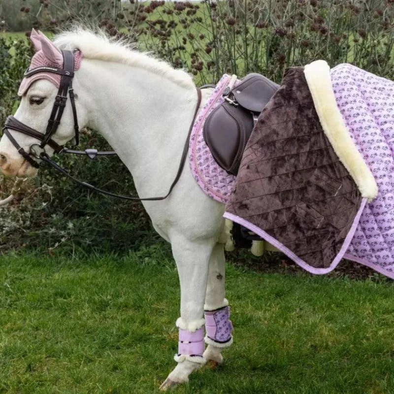 Collection "Minis" Kentucky|Guêtres Fermées*Kentucky Horsewear - Guêtres mouton antérieurs Sammy Collection vieux Rose