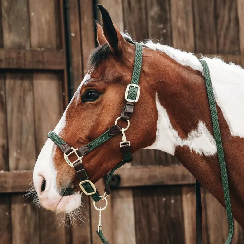 Licols En Nylon*Kentucky Horsewear - Licol cheval nylon tressé olive Vert