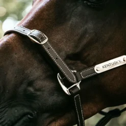 New - Licol en cuir synthétique flexible Élevage|Licols En Cuir