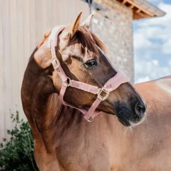 Collection "Minis" Kentucky|Licols Poneys*Kentucky Horsewear - Licol polaire Teddy vieux Rose