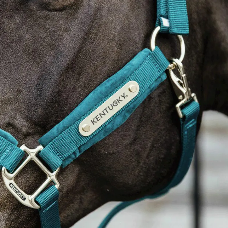 Clearance - Licol Velvet émeraude Licols En Nylon