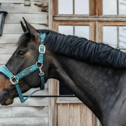 Clearance - Licol Velvet émeraude Licols En Nylon