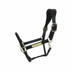 Élevage|Licols En Cuir*Kentucky Horsewear - Licol anatomique en cuir vegan noir