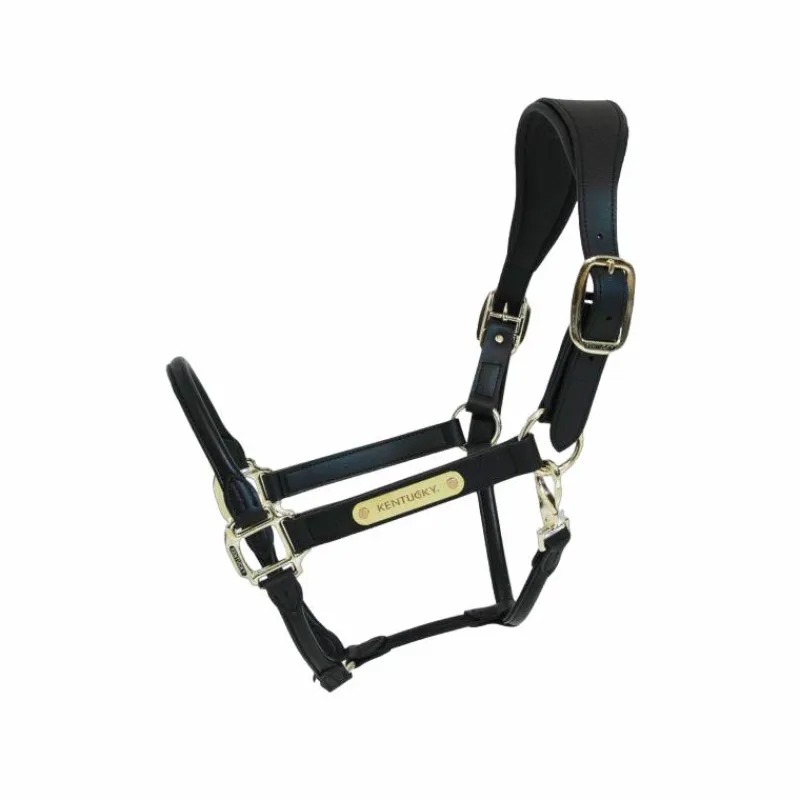 Élevage|Licols En Cuir*Kentucky Horsewear - Licol anatomique en cuir vegan noir